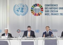VIDEO: Cumbre de los Océanos: La ONU pide un cambio de rumbo ante el desplome de la biodiversidad marina